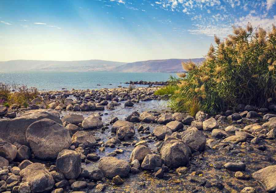 BreakForthIsrael2019