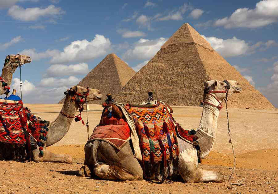 Best Of Egypt