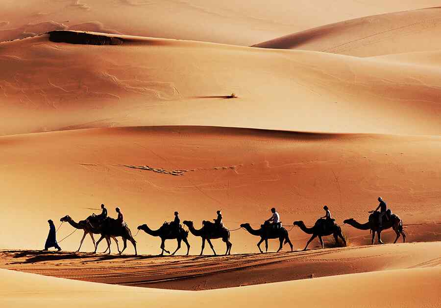 Cruising The Nile & Lake Nasser